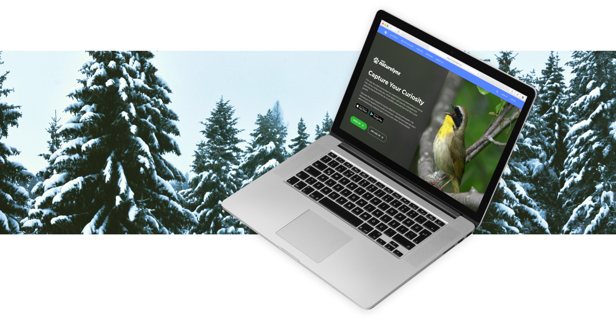 A website screenshot on a Macbook of the NatureLynx home page.